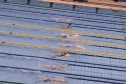 100 Breast-Japan Lane 2